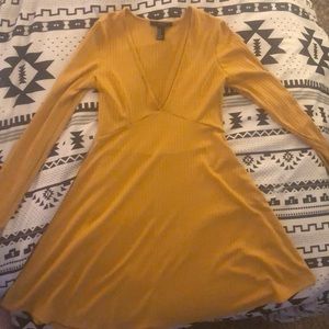 Long Sleeved V-cut Dress